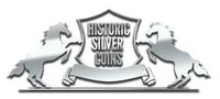 Historic Silver Coins coupons
